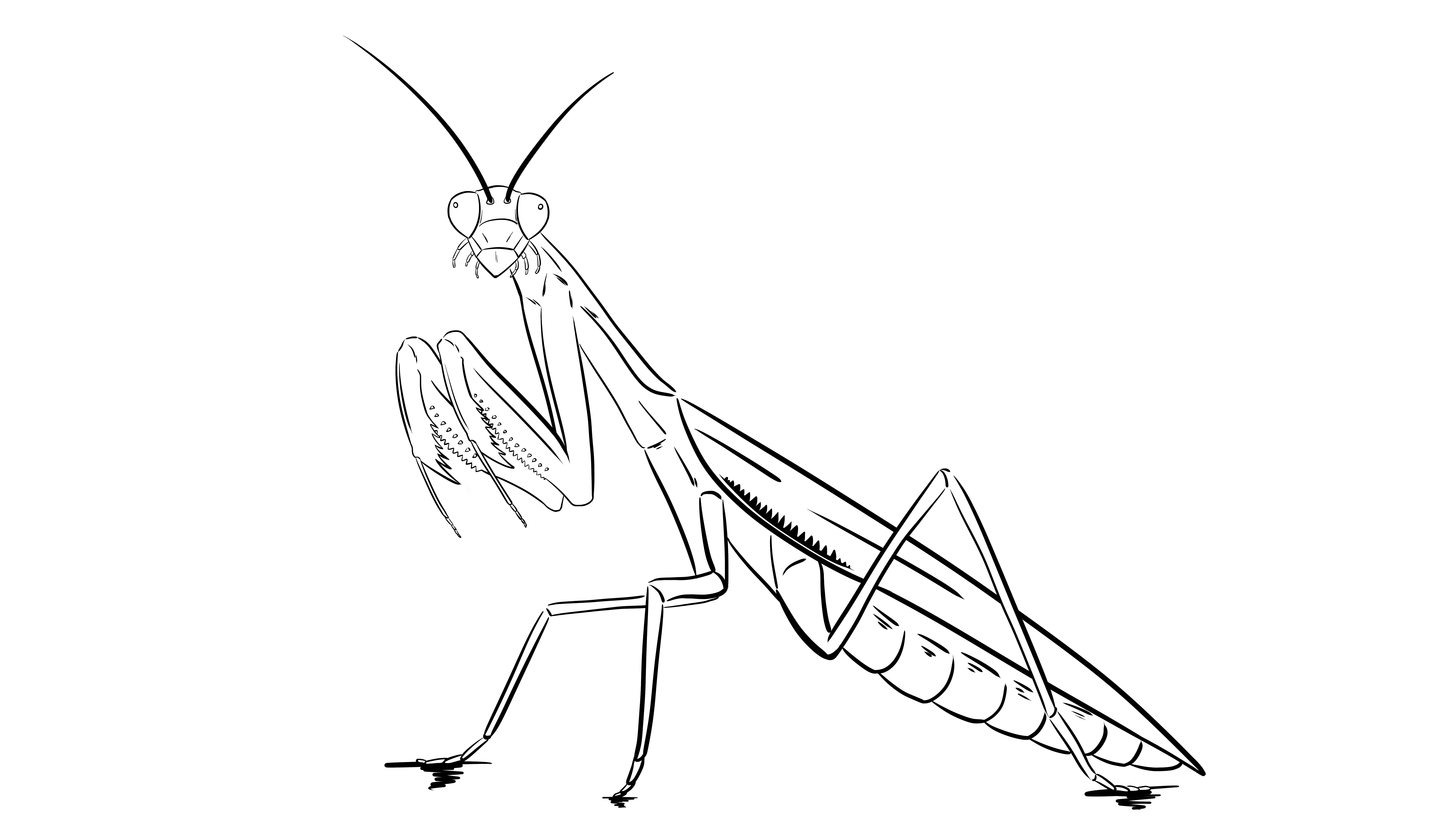 Características principales del Taekwon-do ITF